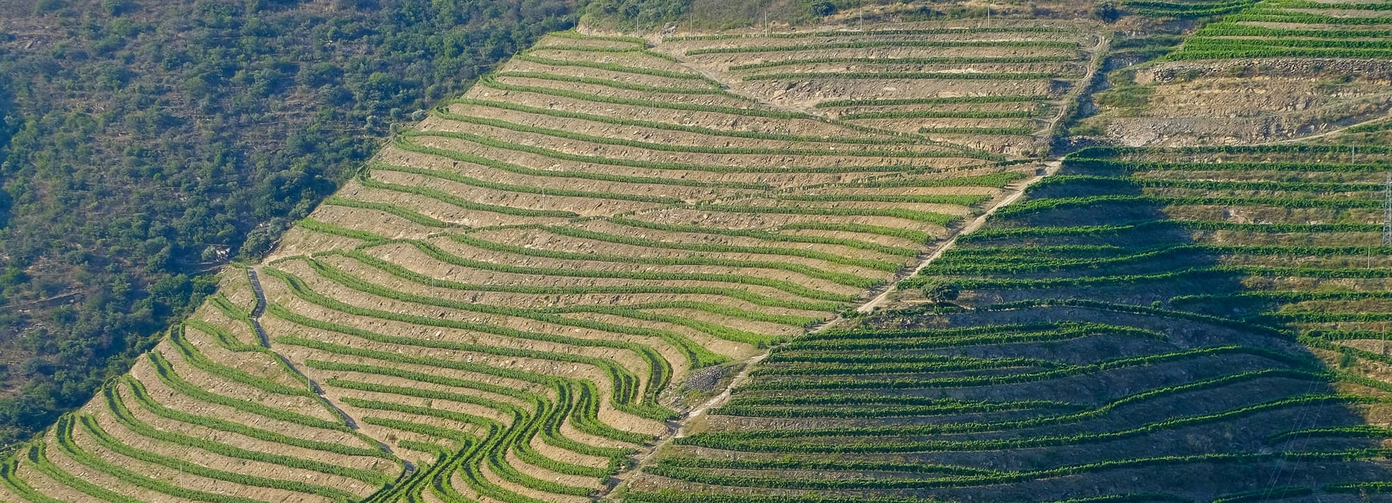 Douro och Porto