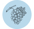 Primitivo i sortimentet