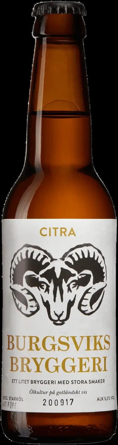 Produktbild för Burgsviks Bryggeri Citra
