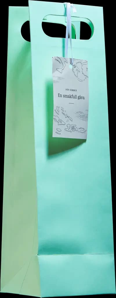 Produktbild för Presentpåse Mintgrön