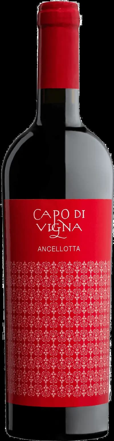 Produktbild för Ancelotta