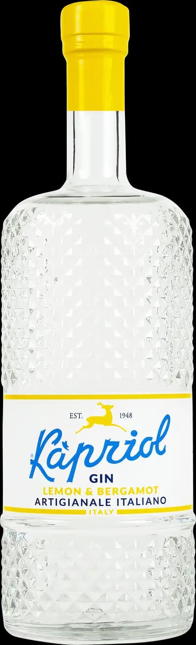 Produktbild för Kapriol Gin