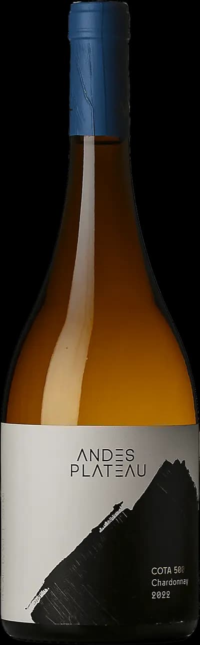 Produktbild för Andes Plateau