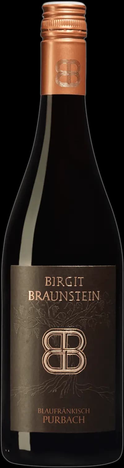 Produktbild för Birgit Braunstein