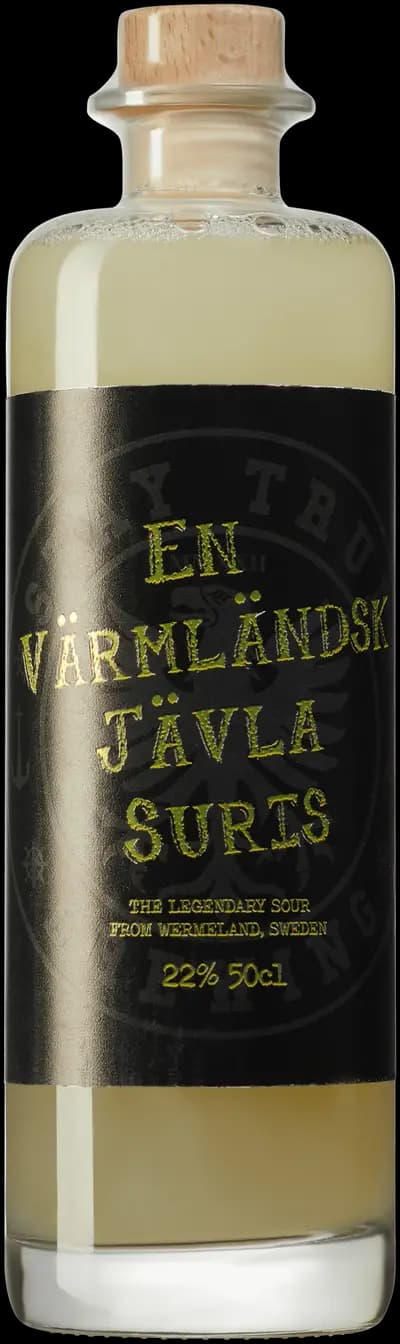 Produktbild för Stay True