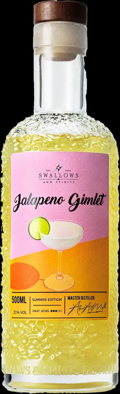 Produktbild för Swallows & Spirits