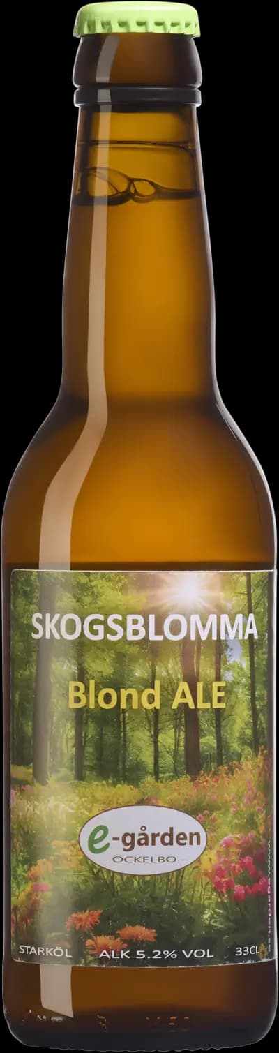 Produktbild för E-gården