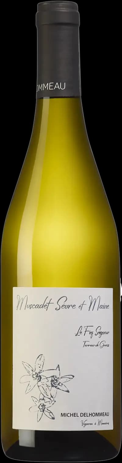 Produktbild för Muscadet Sèvre et Maine