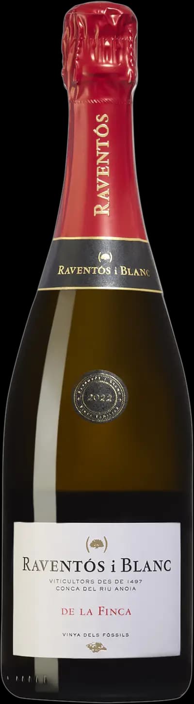 Produktbild för Raventós i Blanc
