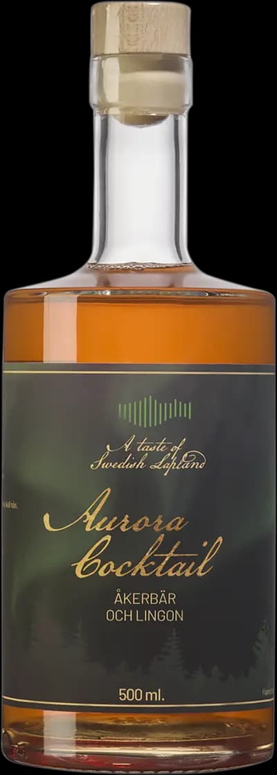 Produktbild för Gin & Us