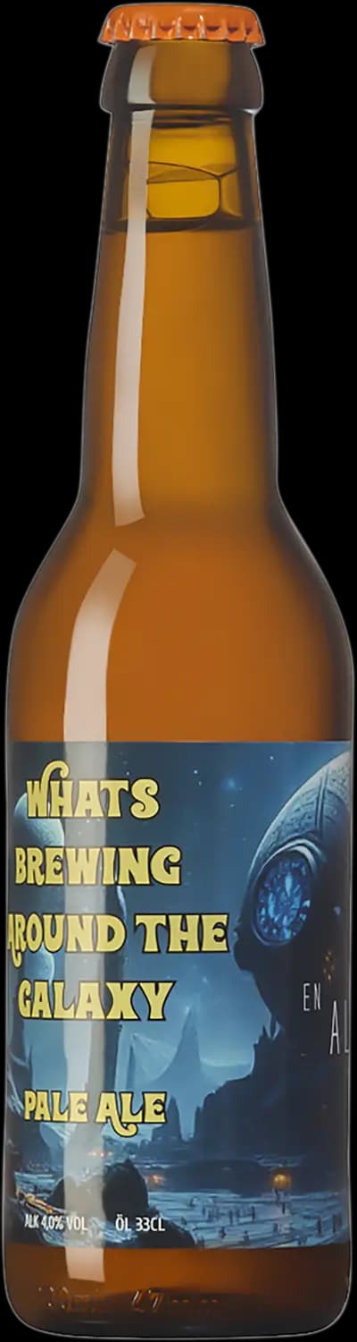 Produktbild för En Aleigen Brewery