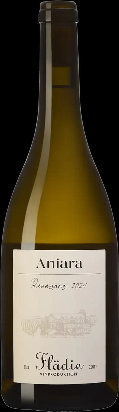 Produktbild för Aniara Renässans