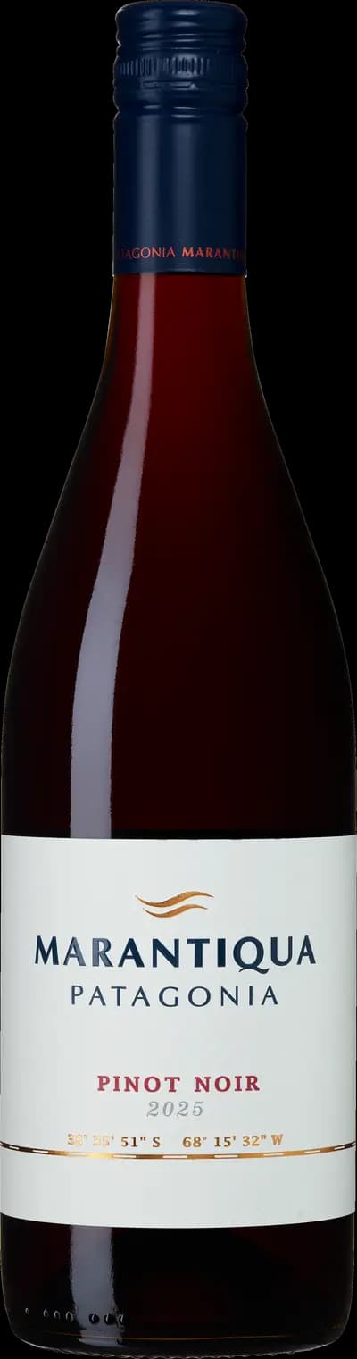 Produktbild för Marantiqua