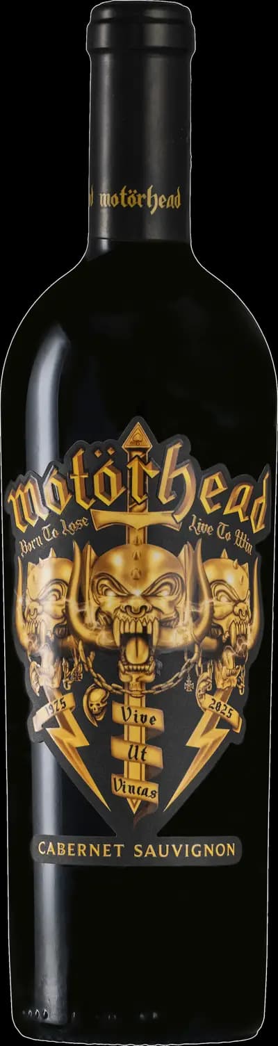 Produktbild för Motörhead Born to Lose Live To Win