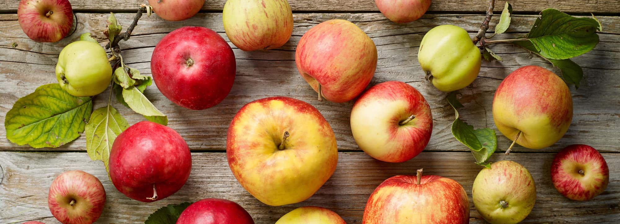 Ciderns historia