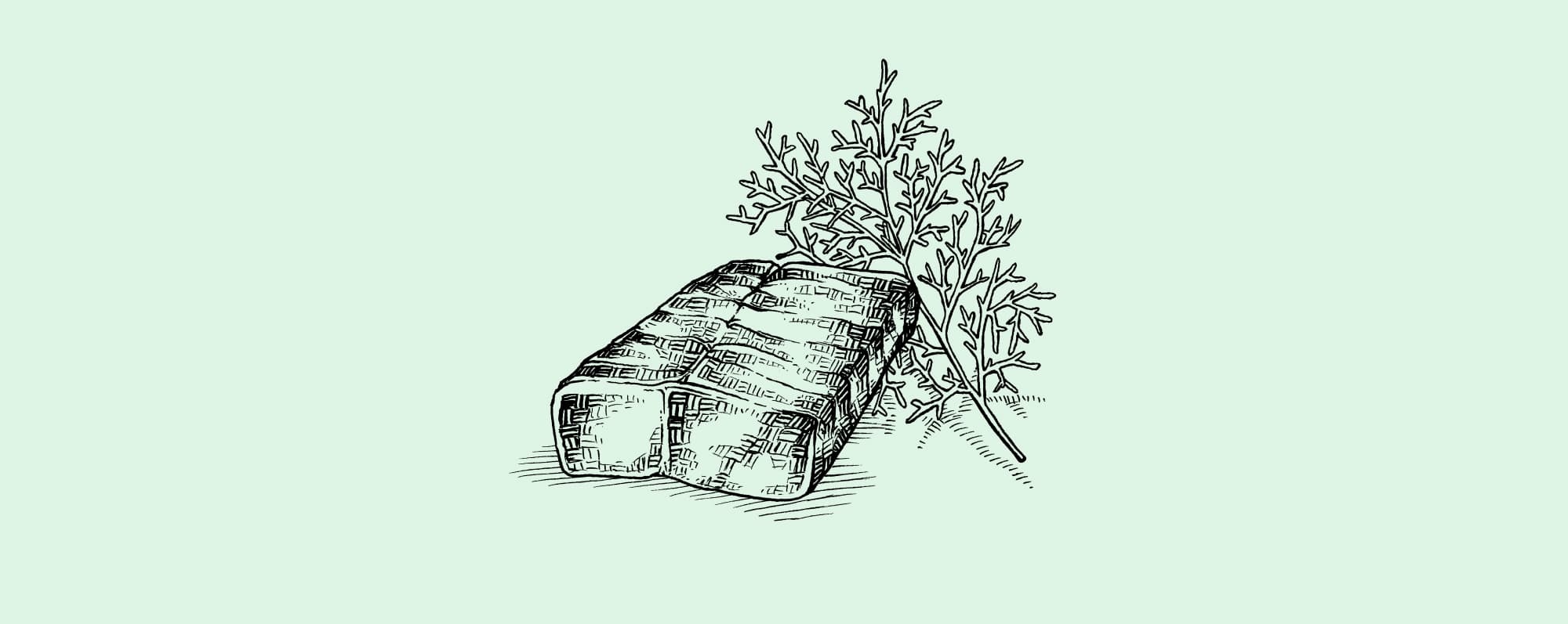 Handtecknad illustration av torskfilé.