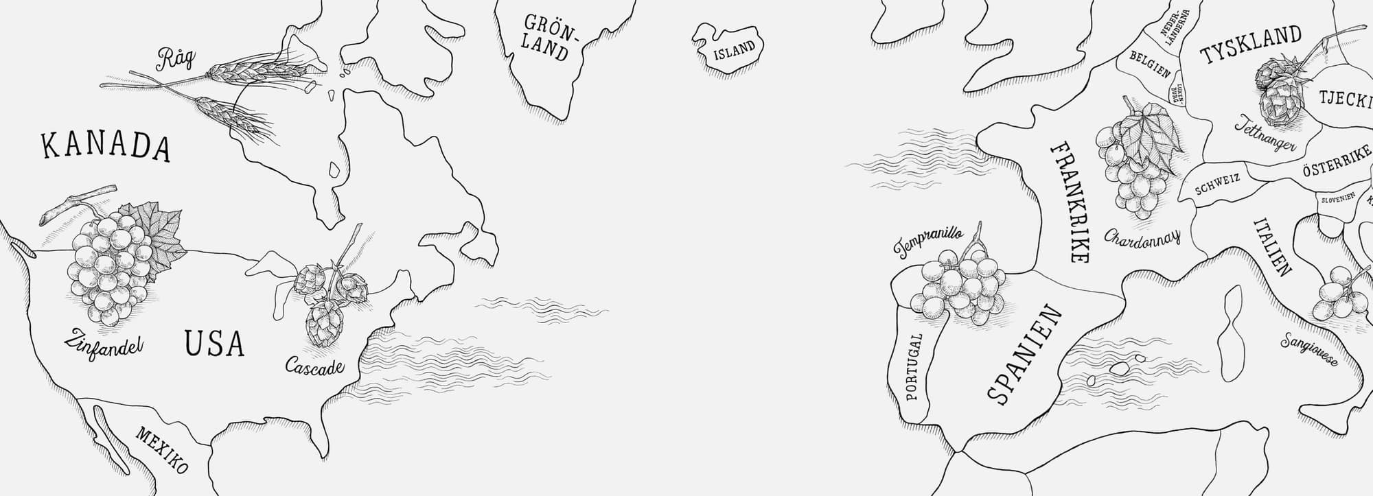 Jämförelse: amerikansk och europeisk humle