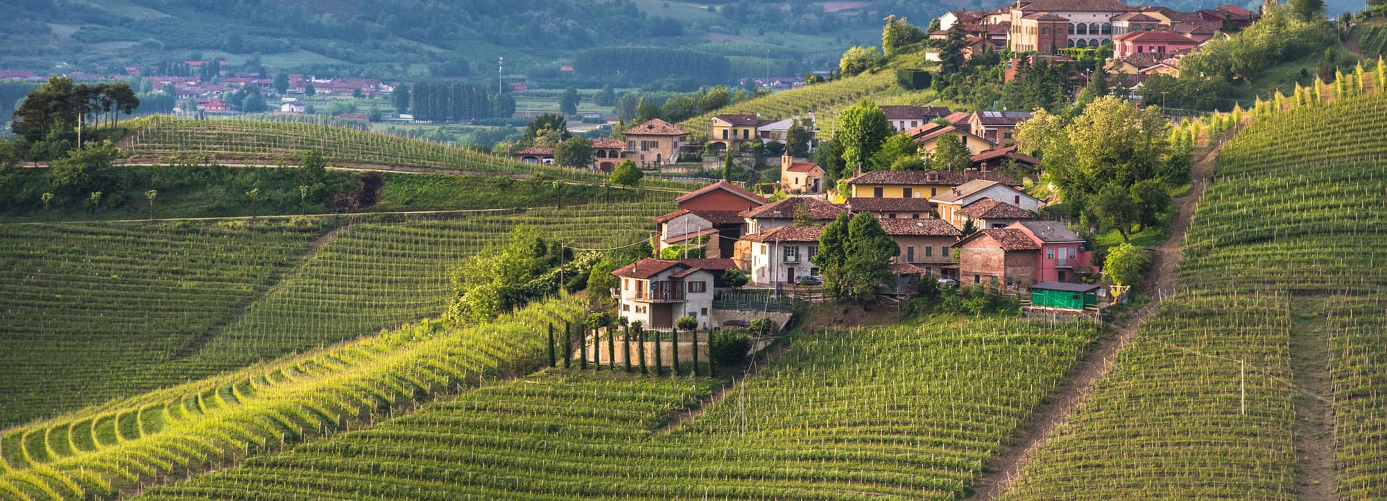 Barbaresco