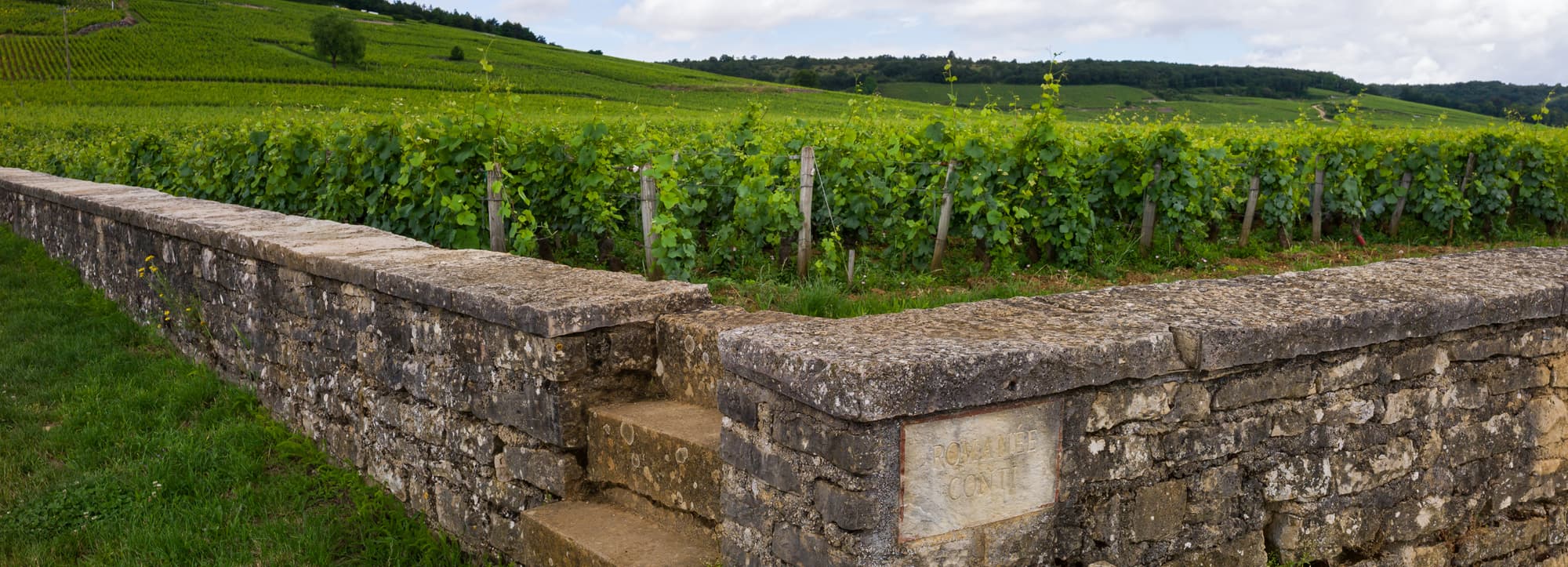 Côte de Nuits