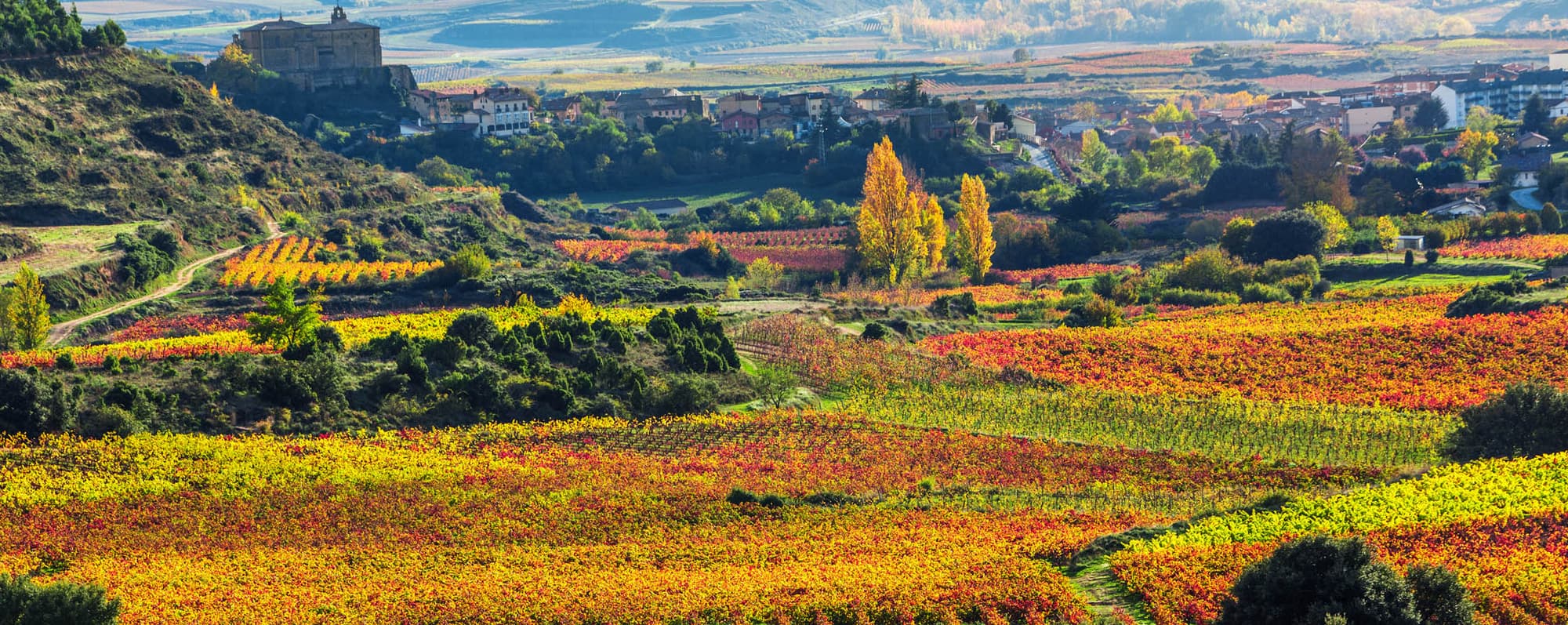 Röda och gula vingårdar i Rioja. I bakgrunden berg.