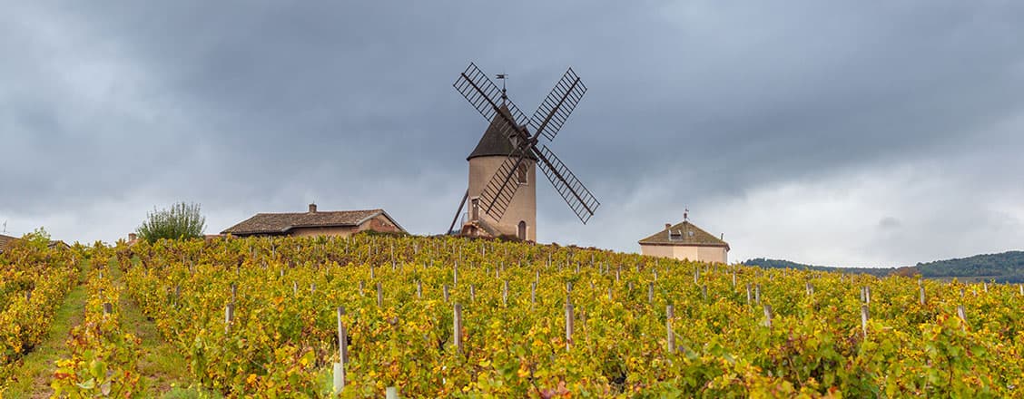 När kommer beaujolais nouveau?