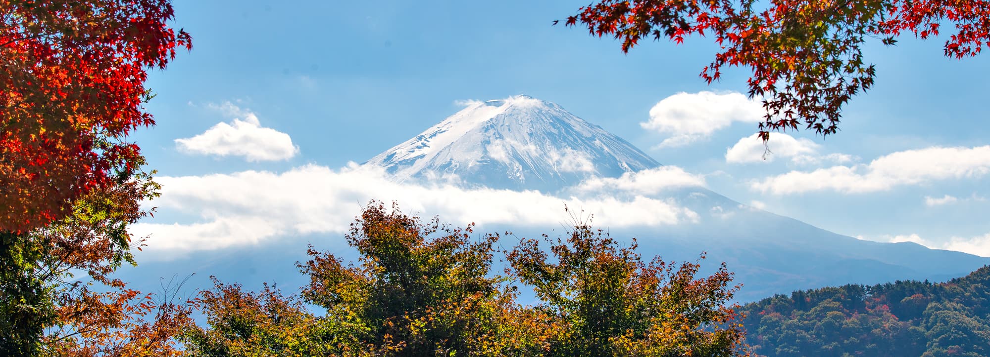 Japansk whisky – ren och fruktig