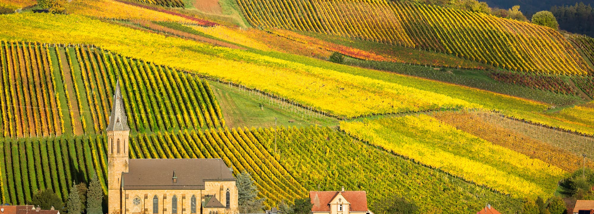 Pfalz