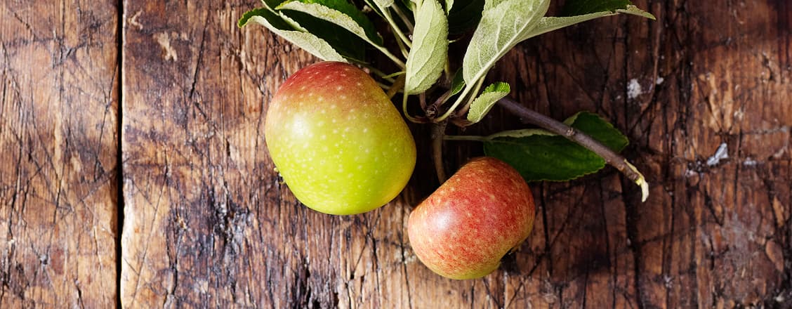 Temperance apple mojito