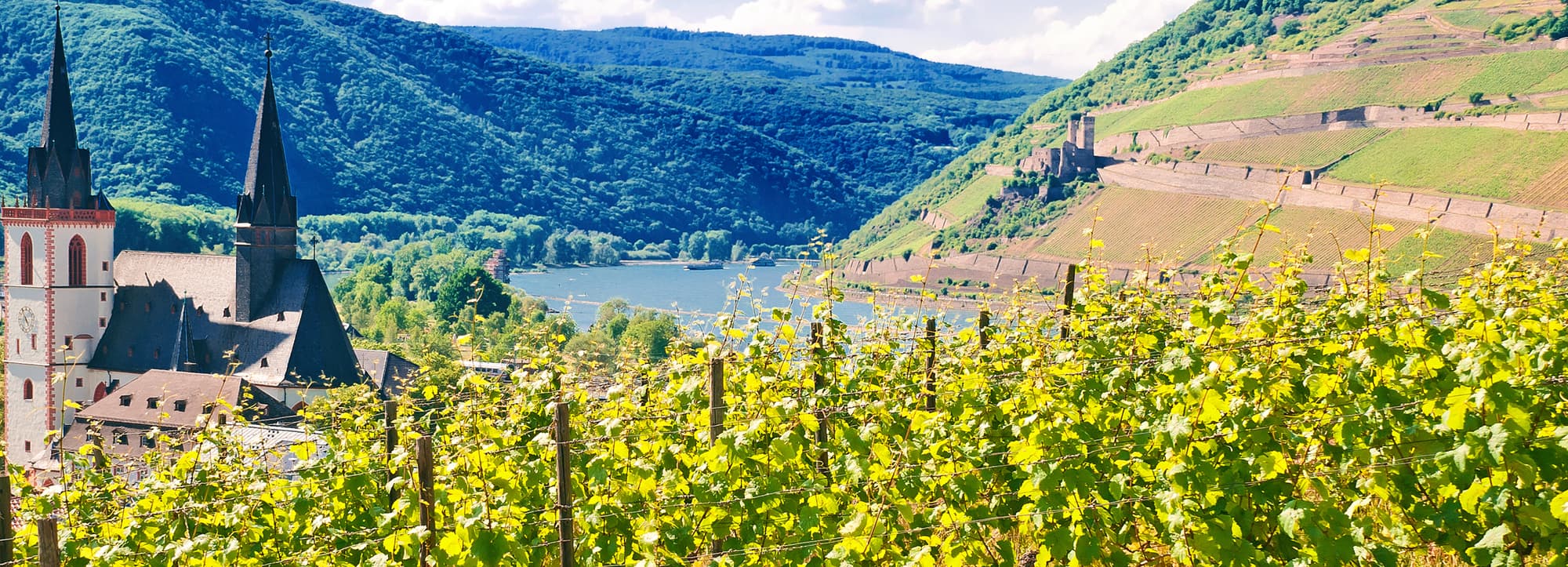 Rheinhessen