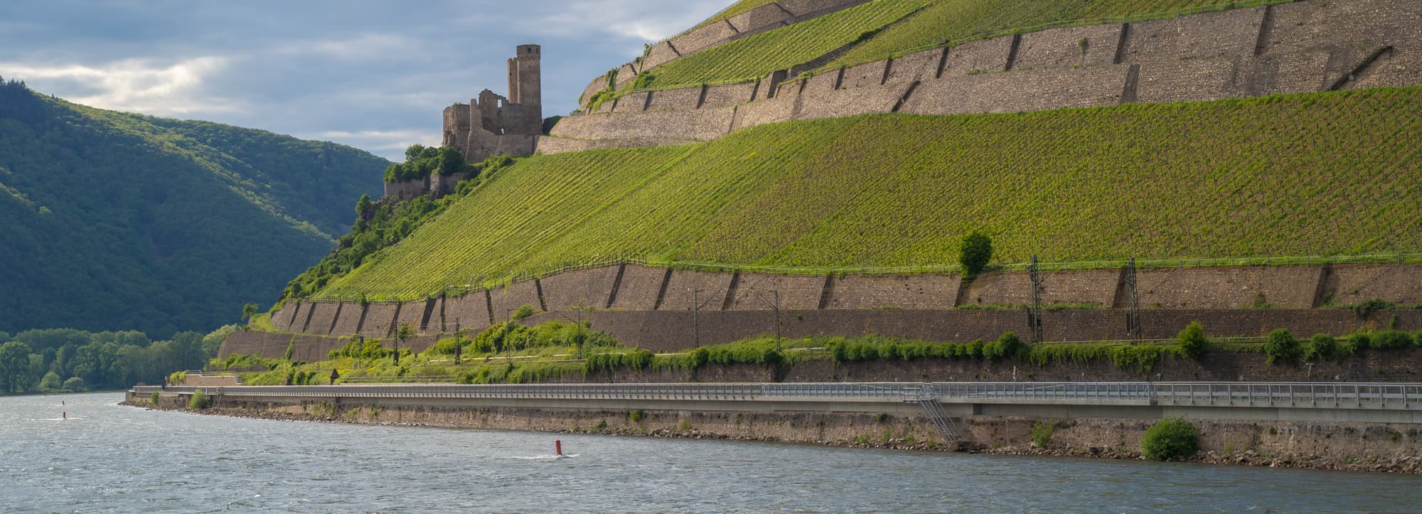 Rheingau