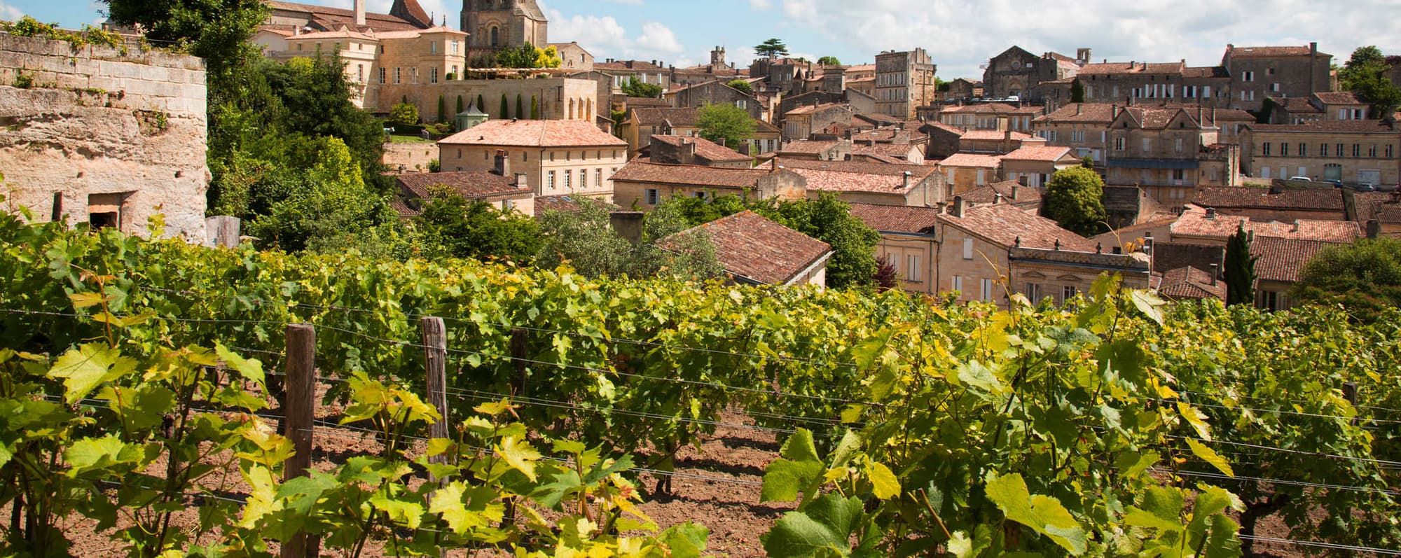 Vinrankor som växer mitt i medeltidsstaden St-Emilion i östra Bordeaux.