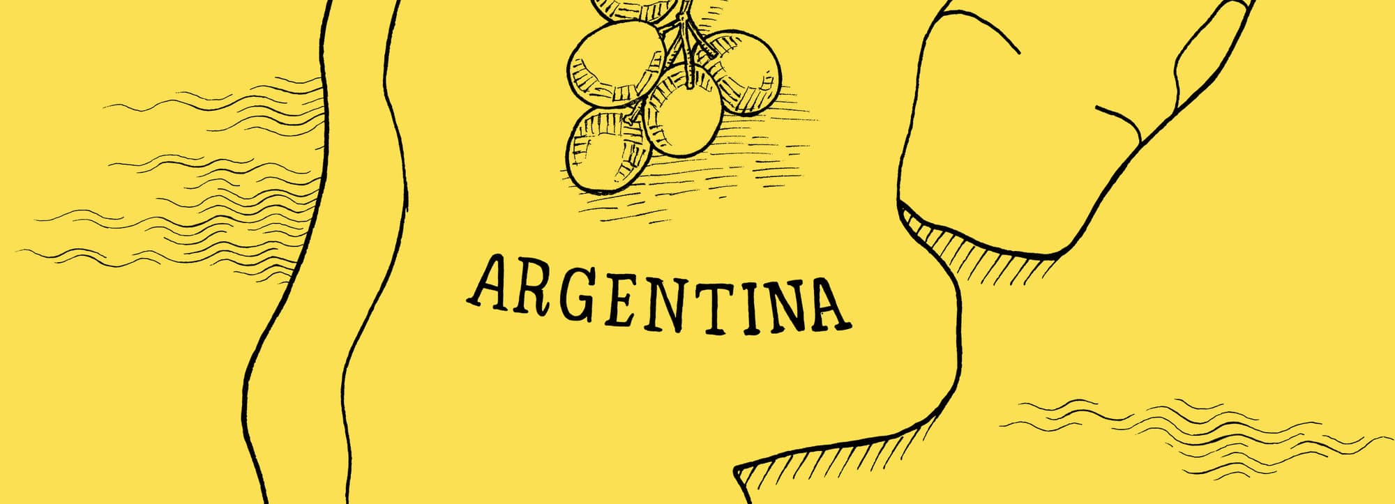 Årgångsinformation: Argentina