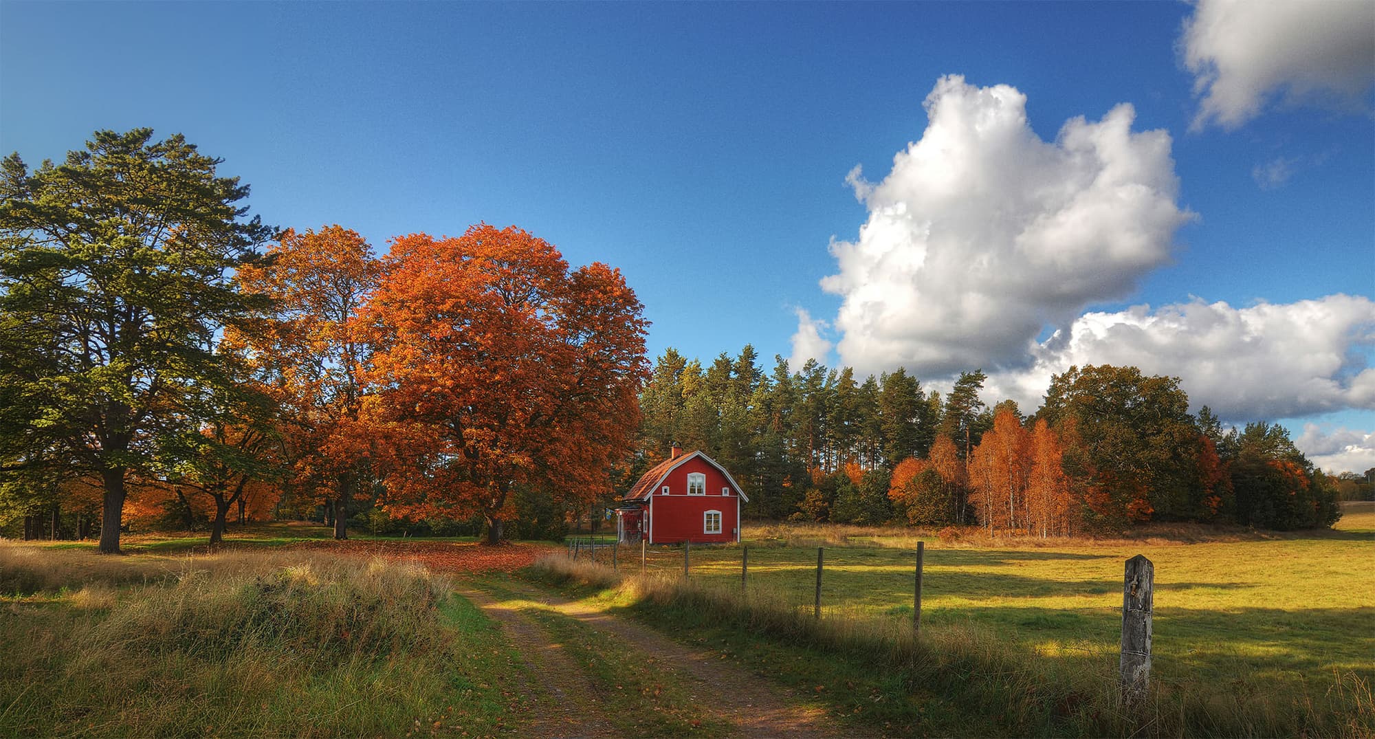Rött hus i skogen, höstlöv på träden