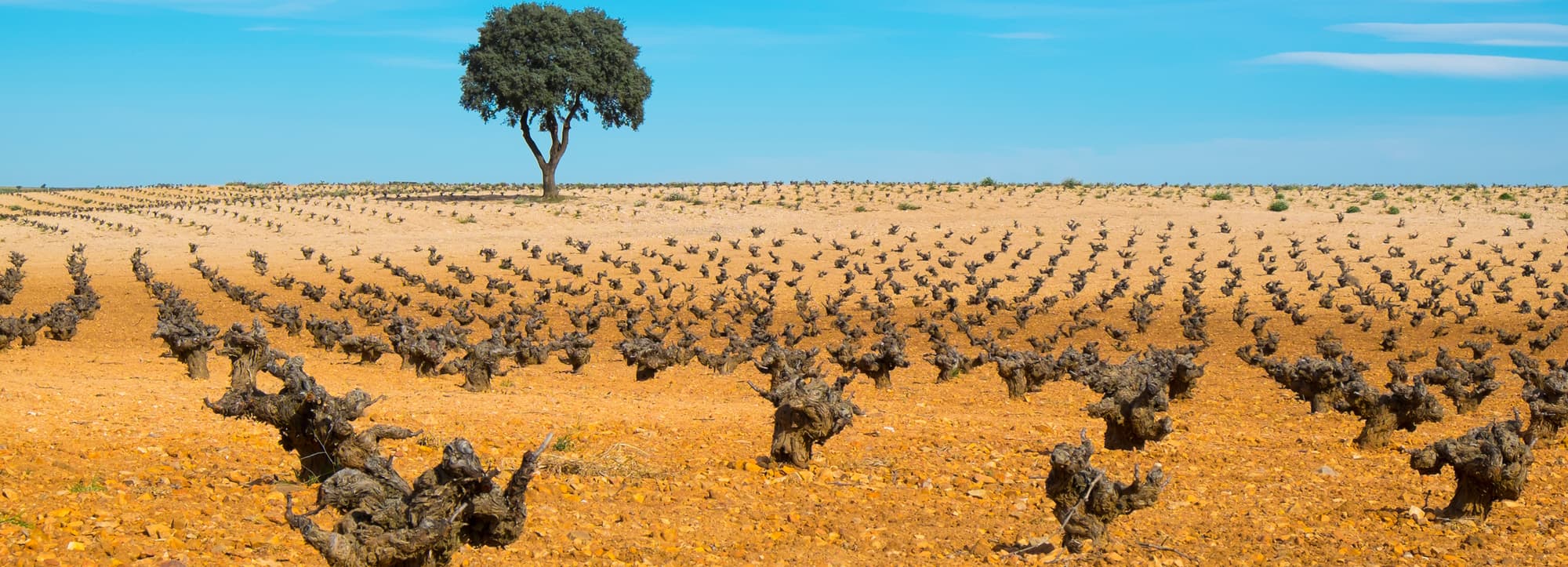Kastillien La Mancha