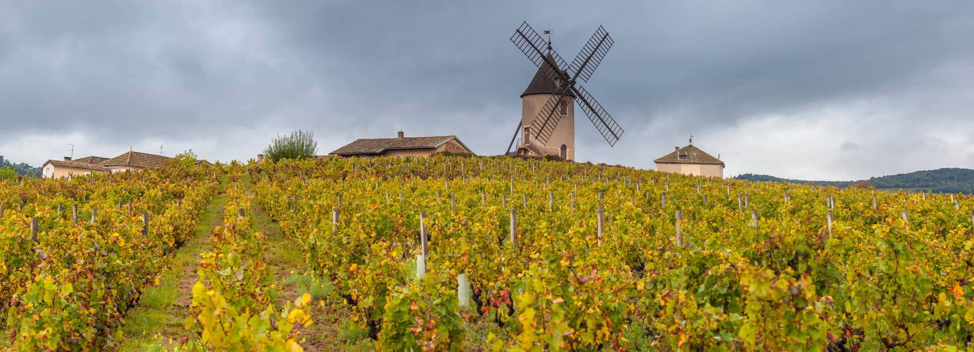 Beaujolais