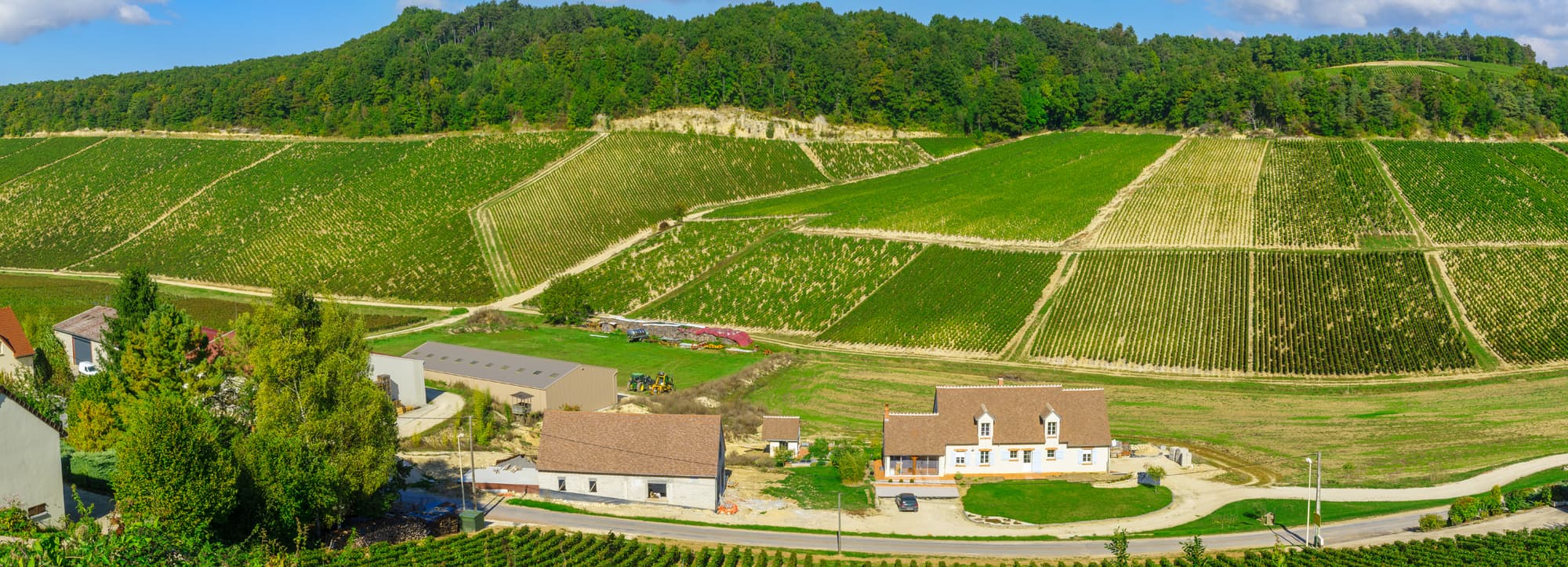 Om chablis