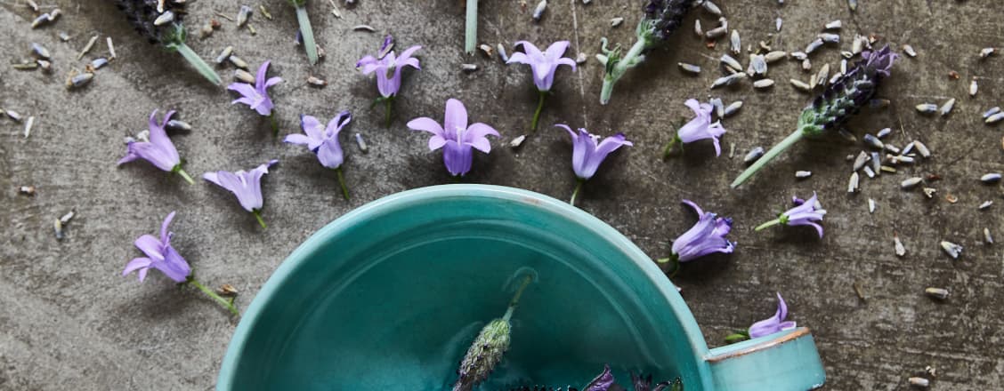 Lavendelblommor och kopp