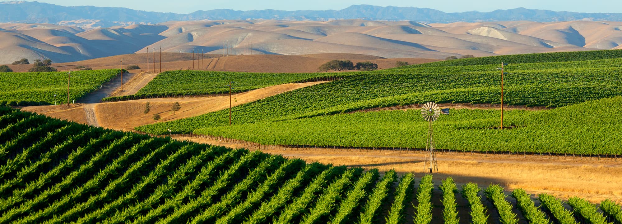 Central Valley och Sierra Foothills