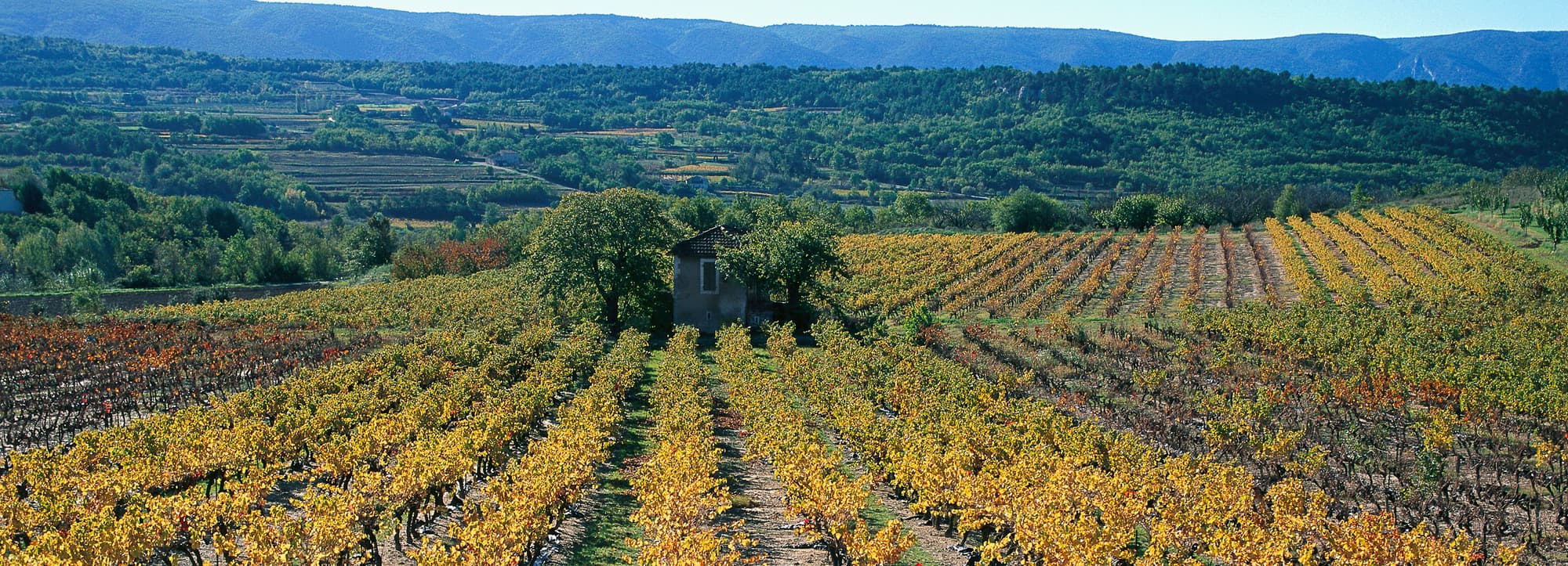 Provence