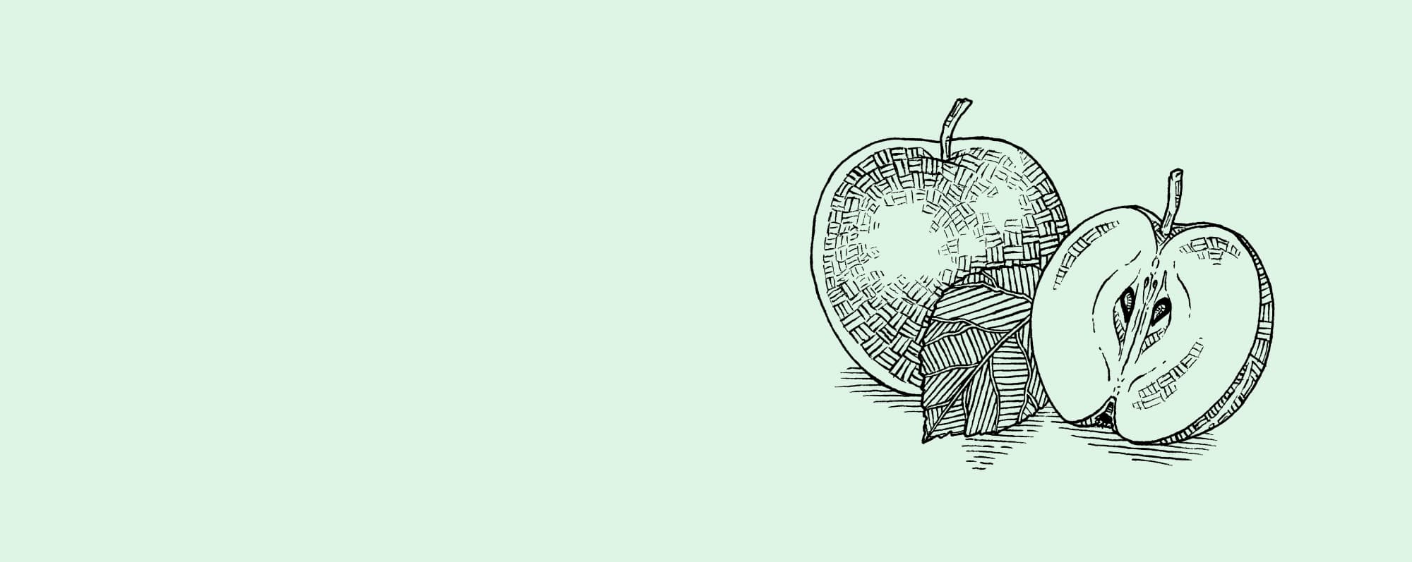 Illustration av grönt äpple.