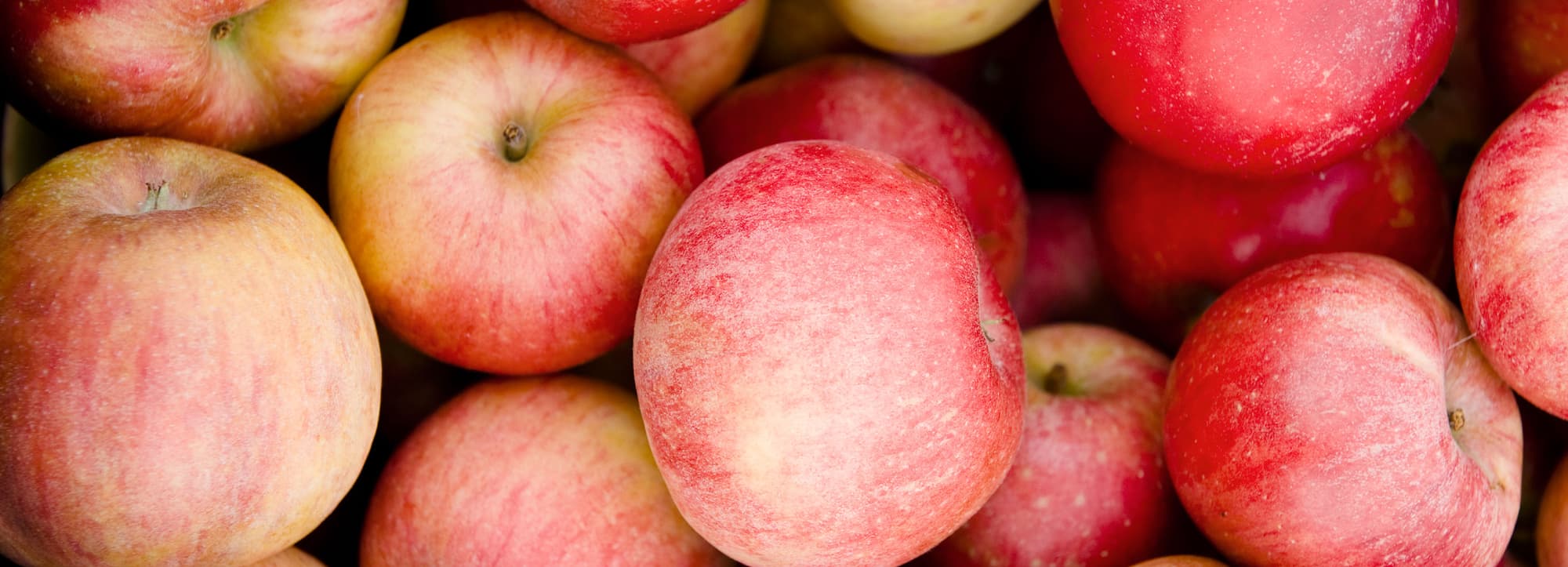 Fransk cider – torr klassiker