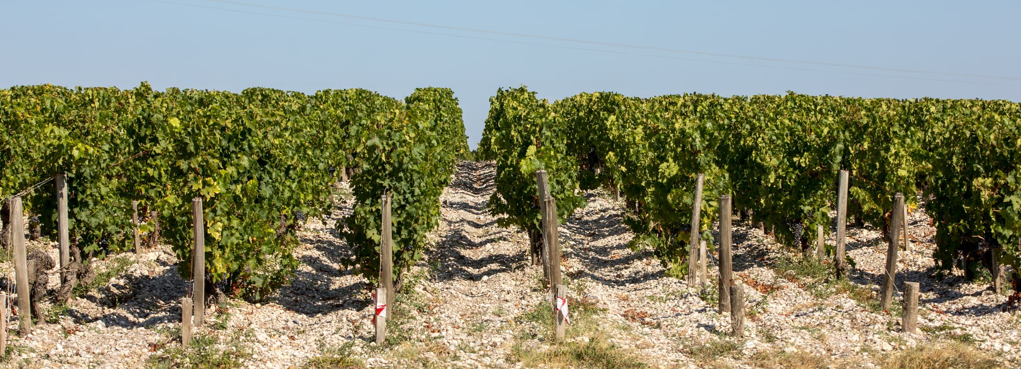 Haut-Médoc