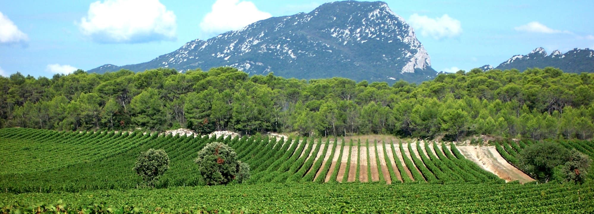 Languedoc
