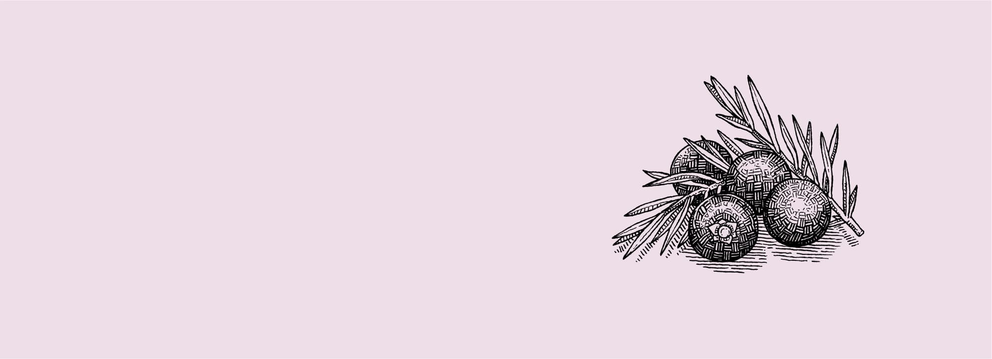 Gin – torr och smakrik sprit med enbär