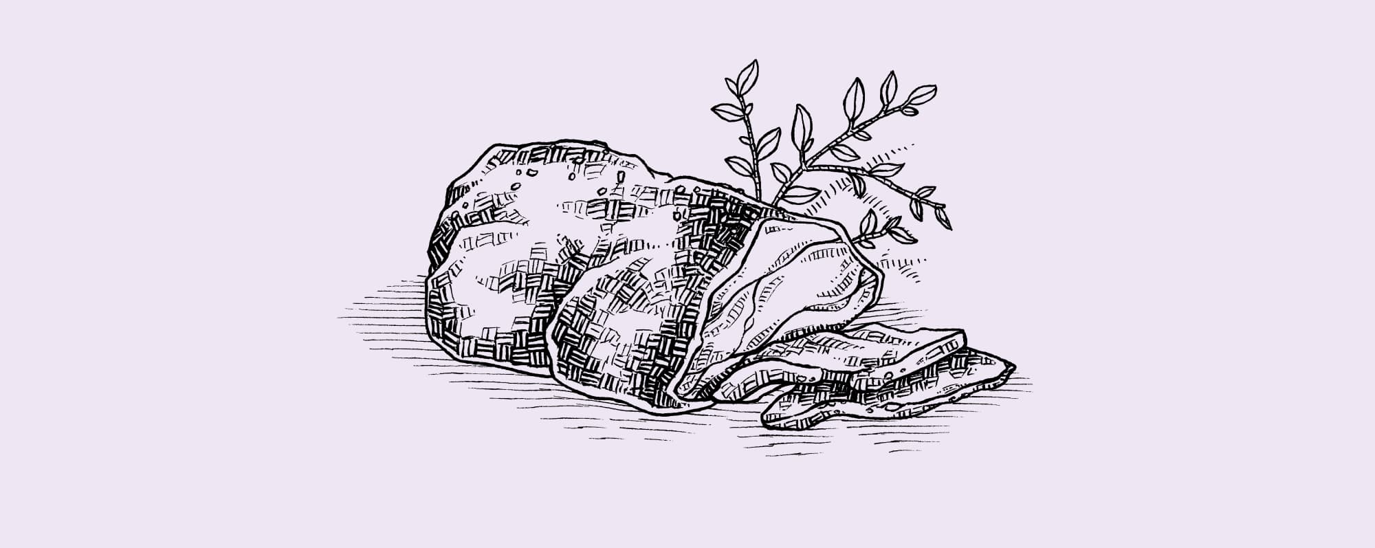 Handtecknad illustration av skivad älgstek.