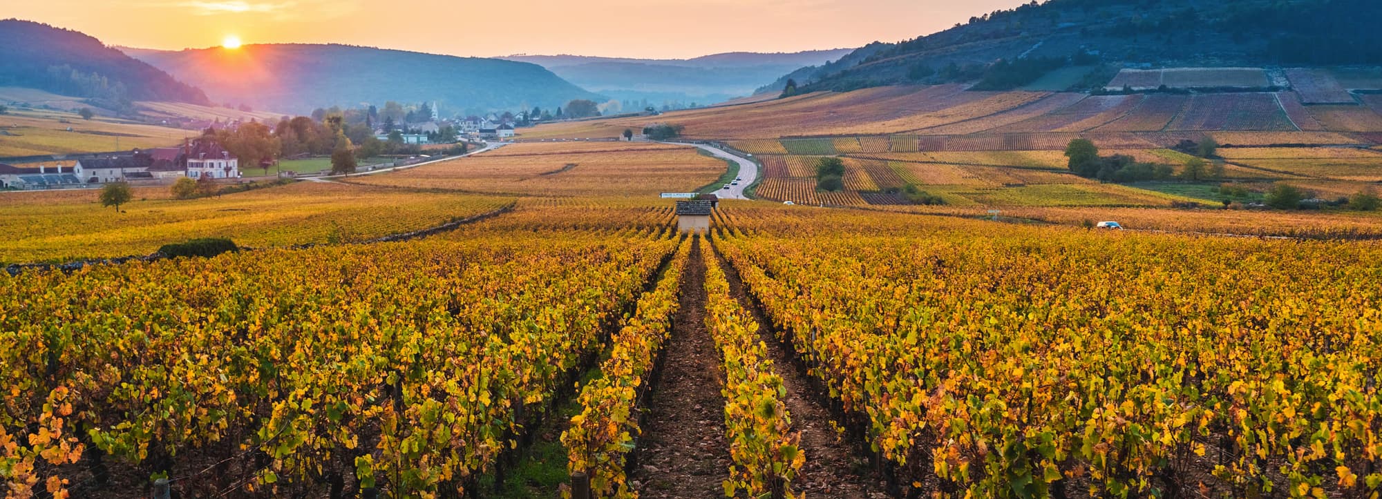 Bourgogne