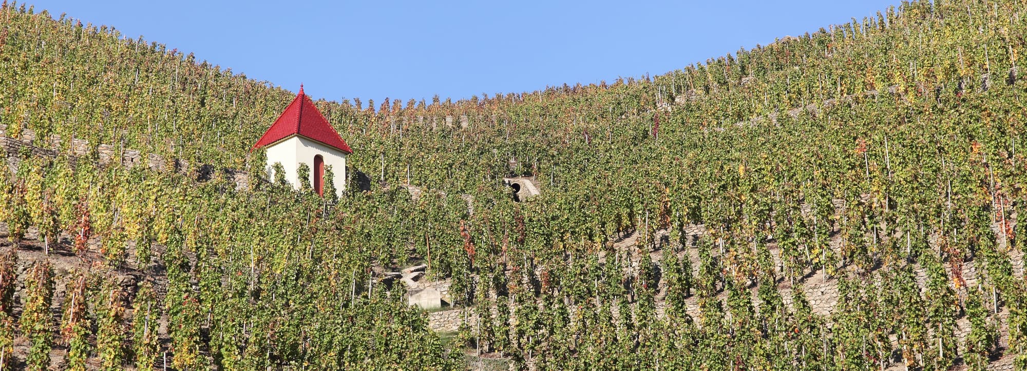 Norra Rhônedalen