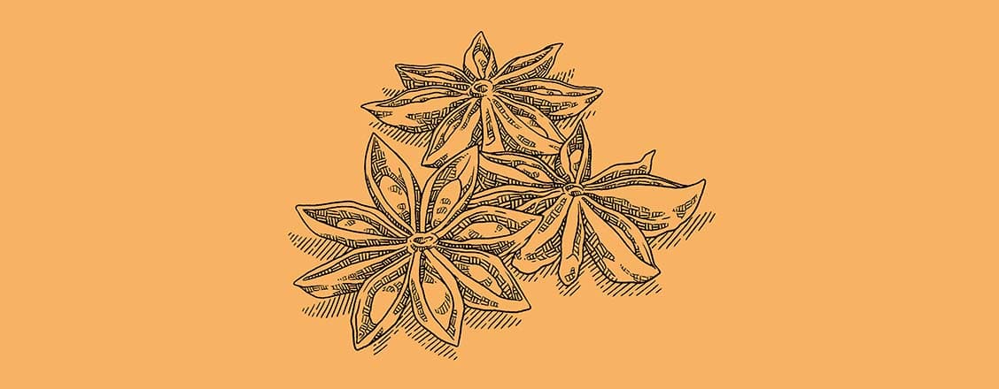 Illustration av anis mot orange bakgrund..