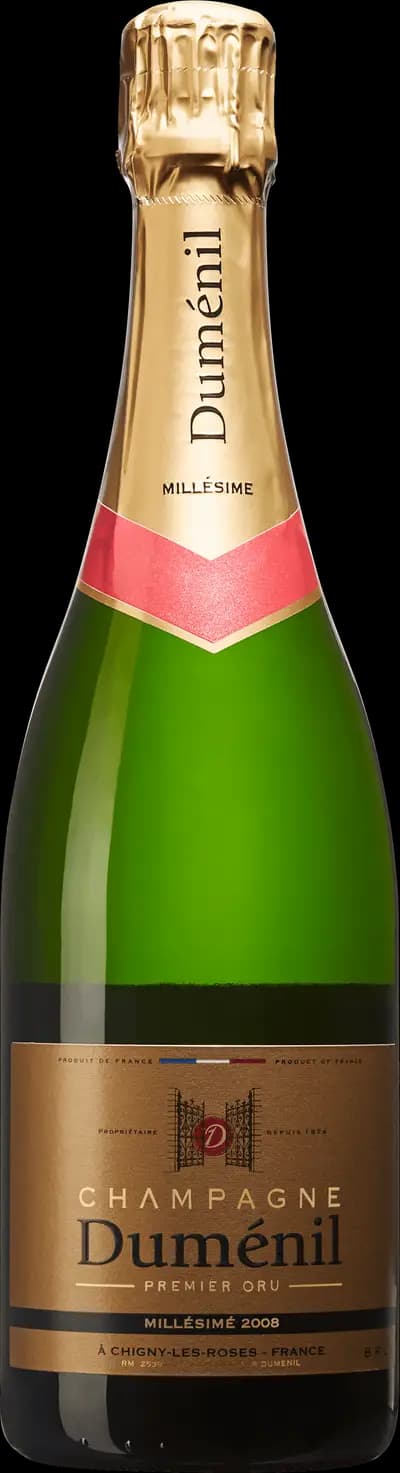 Produktbild för Duménil Brut Millésimé