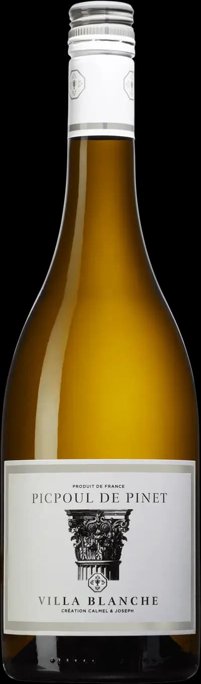 Produktbild för Picpoul de Pinet
